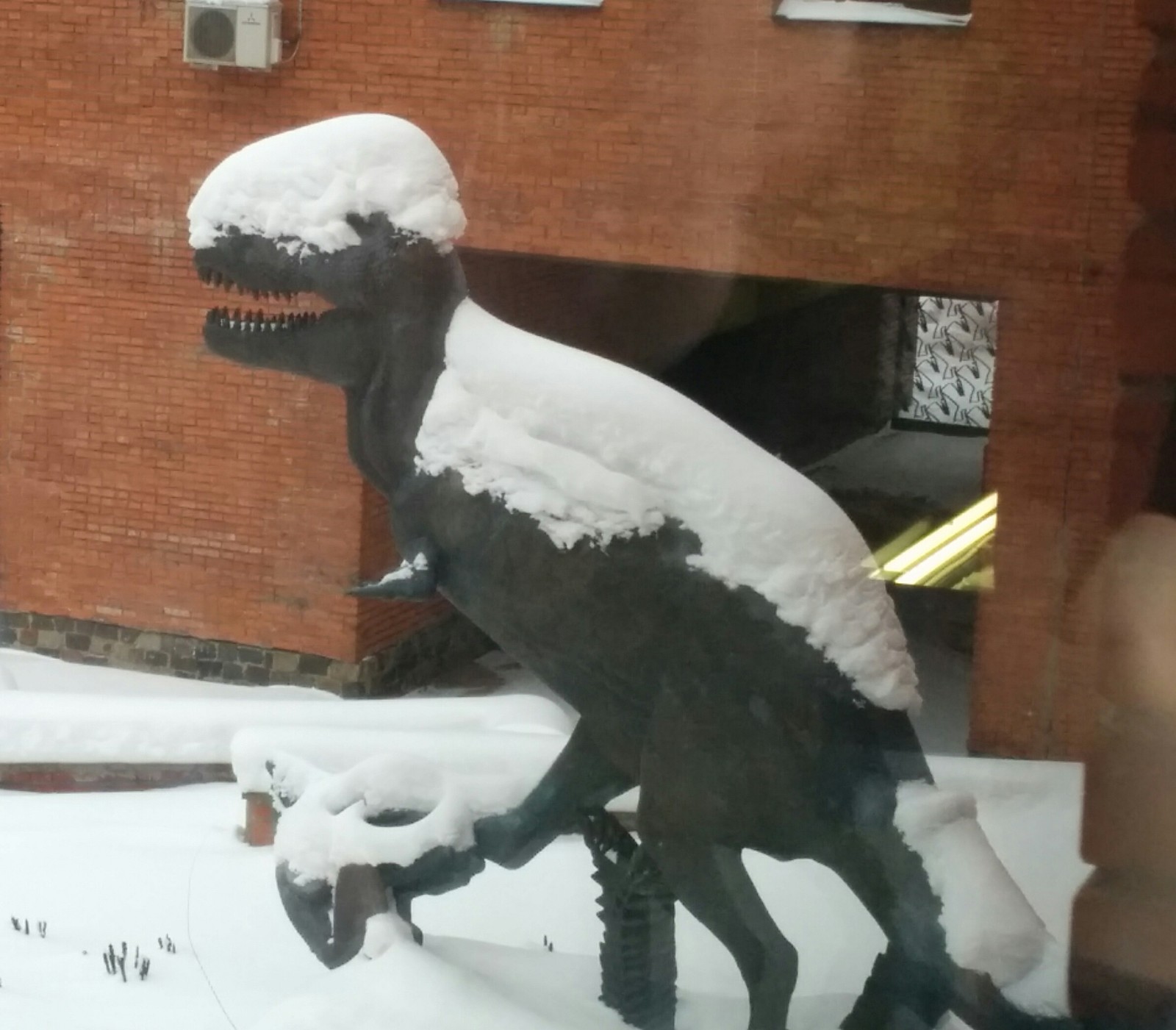 When tired of the snow - My, Winter, Snow, Dinosaurs, Museum