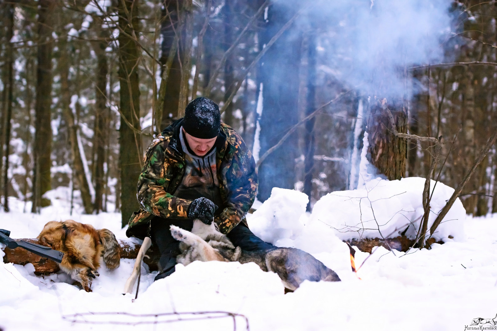 Western Sayan in its natural environment) - My, West Siberian Laika, Sheremetyevo Shelter, , Dog, Hunting dogs, Longpost