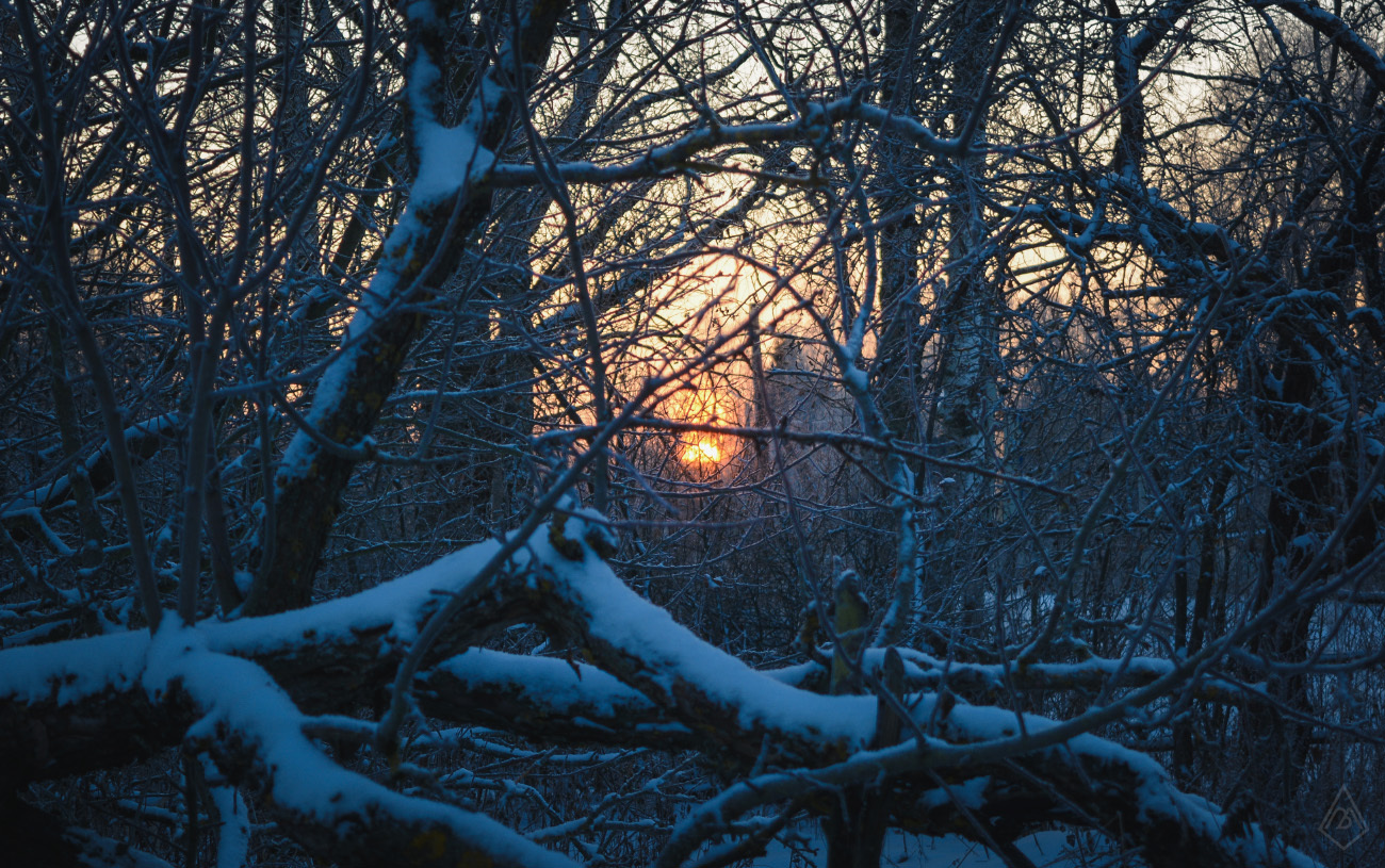 My random colorful selection - My, The photo, Landscape, Frost, Mushrooms, Nikon d5200, 18-55 kit, Longpost, Nature