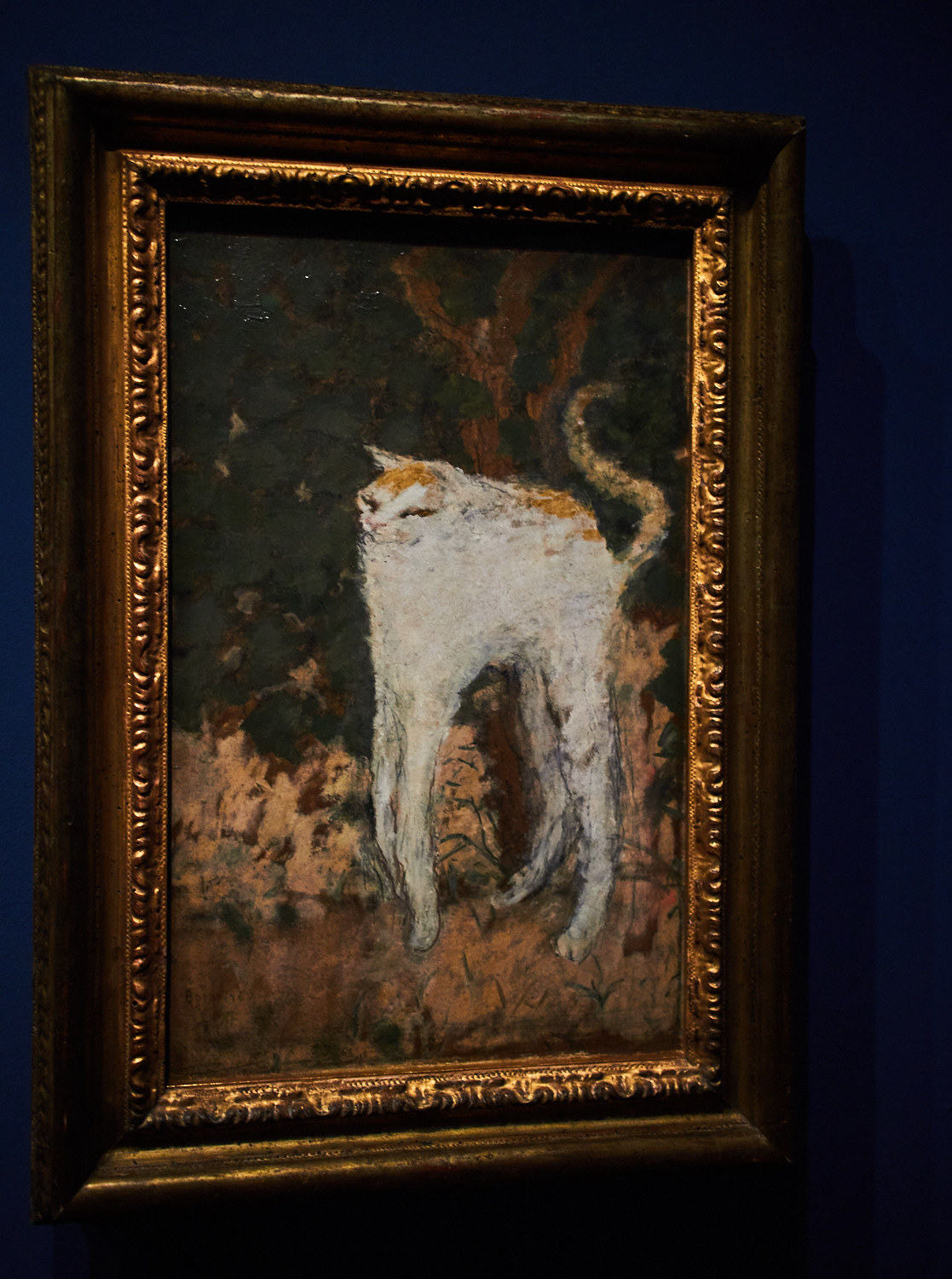 Possible Cause of Paris Syndrome - Kitsuni at Galerie d'Orsay - My, cat, Art, Paris, Psychiatry