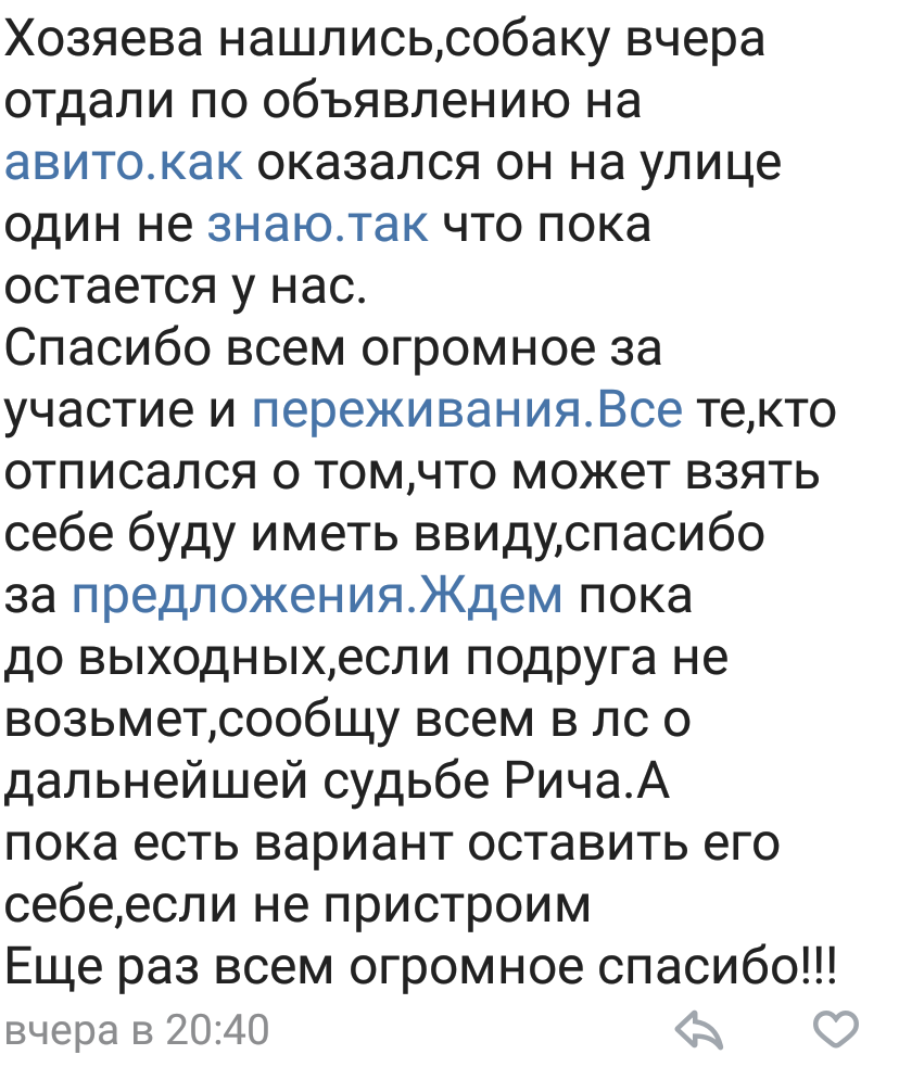 Как жена за тортом сходила. - Моё, Собака, Домашние животные, Неожиданно, Длиннопост