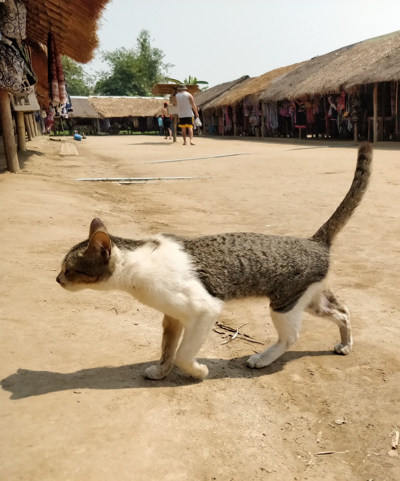 Small Journey to Big Thailand 6 (Karen Village) - My, Thailand, Female, Long-necked, Travels, Village, Longpost, Women