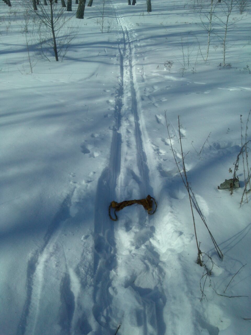 Spring!.. Skier, triumphant... - My, Spring, Winter, Ski track, Swimsuit, Bombanulo, Liberty