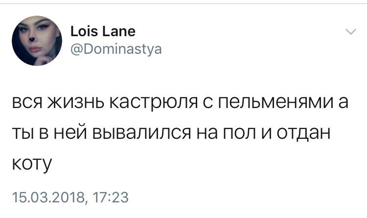 ...а он не жрет!
 - Не мое, Пельмени, Кот, Twitter, Скриншот