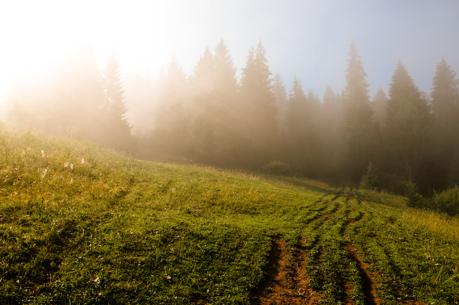 And here are the mountains - My, Carpathians, Nature, The mountains, The photo, Nikon, Longpost