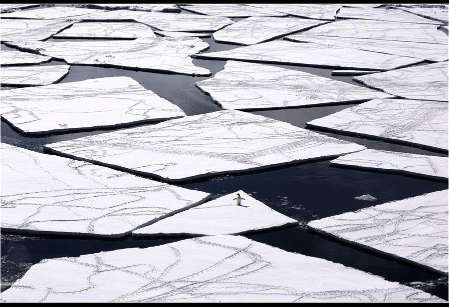 The Ross Sea through the eyes of documentary photographer John Weller. - Antarctica, , The photo, Longpost