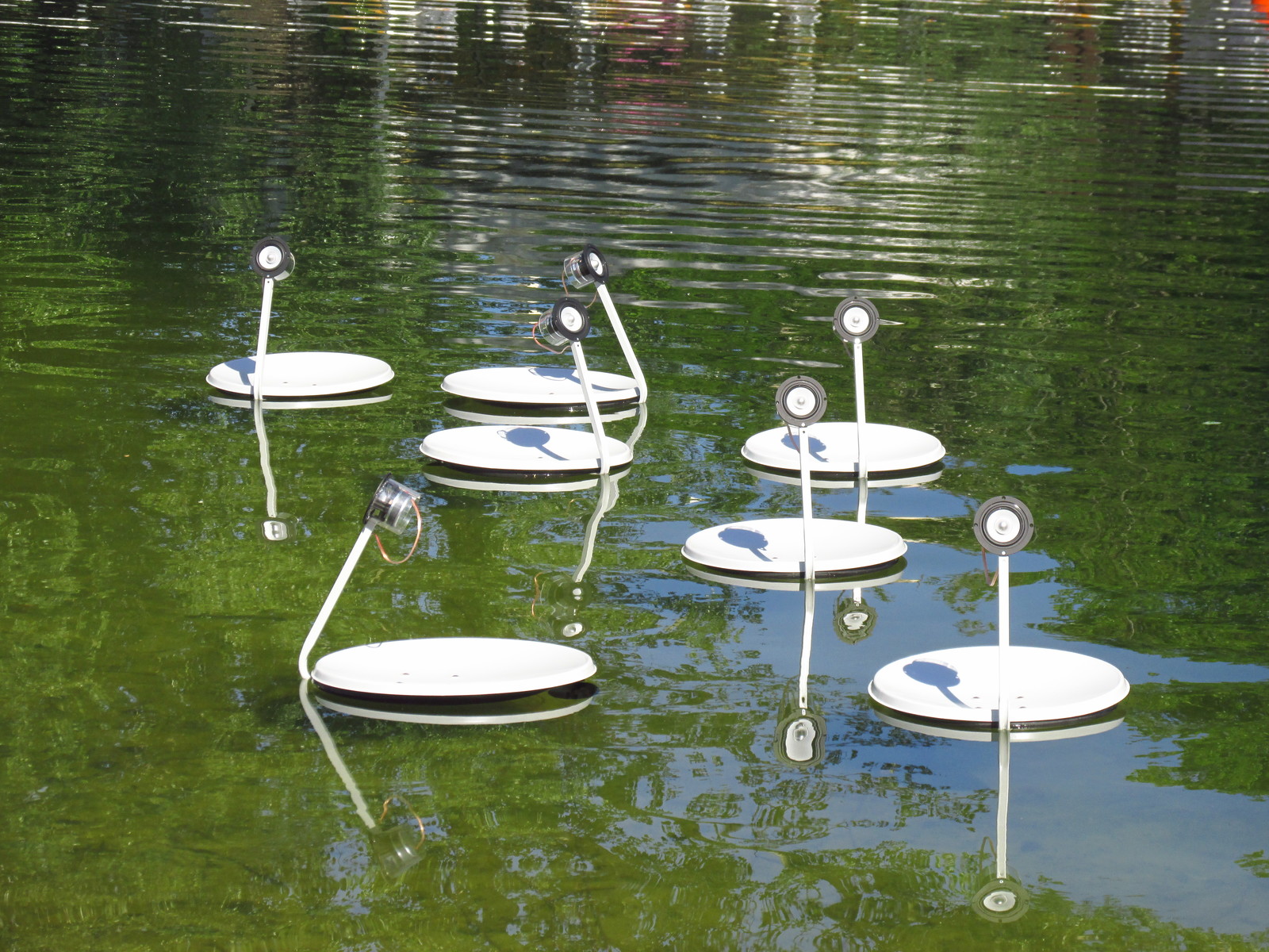 Swan Lake XXI century. - My, Swan Lake, Modern Art, Installation, The photo