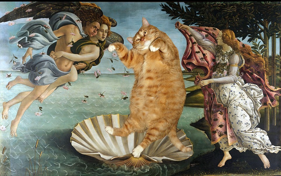 Such a different Venus... Aphrodite Anadyomene. - Birth of Venus, Painting, Art, Female, Sandro Botticelli, cat, Longpost, Comparison, Women