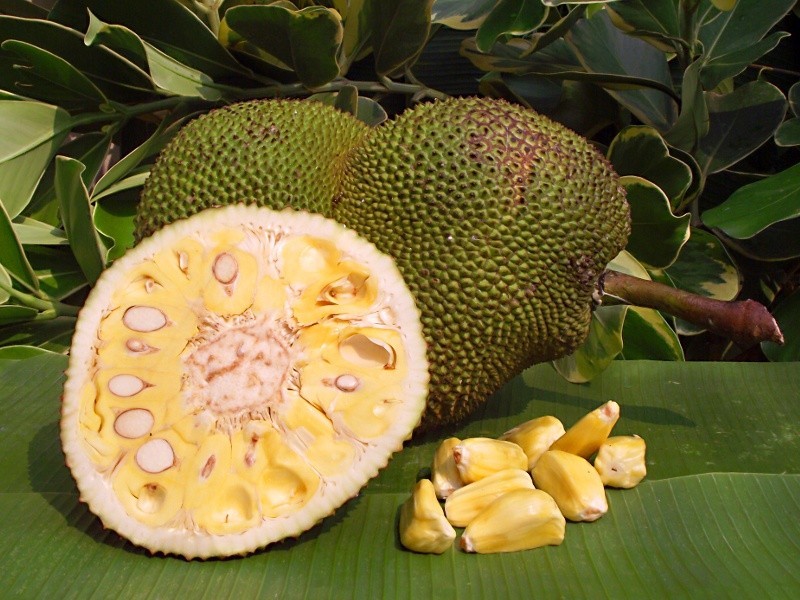 Jackfruit - Jackfruit, Try everything