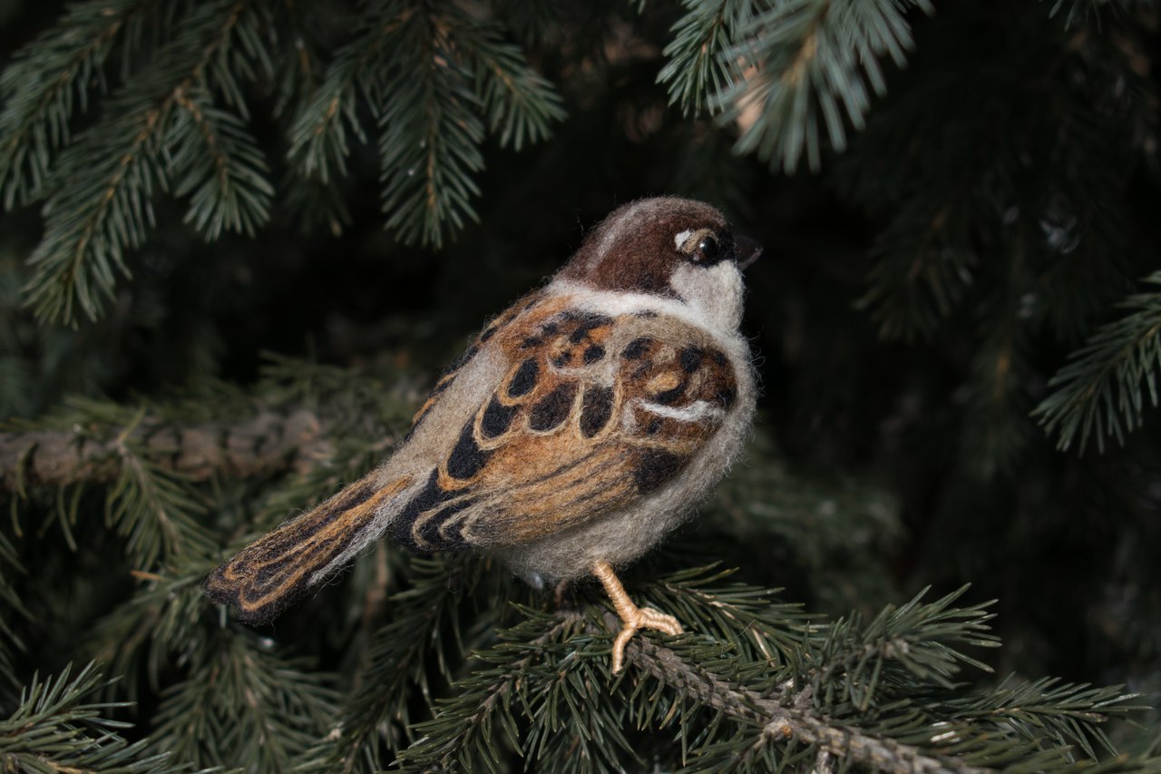 Felted sparrow for World Sparrow Day - My, Sparrow, Dry felting, Wool toy, Needlework without process, Wool, 