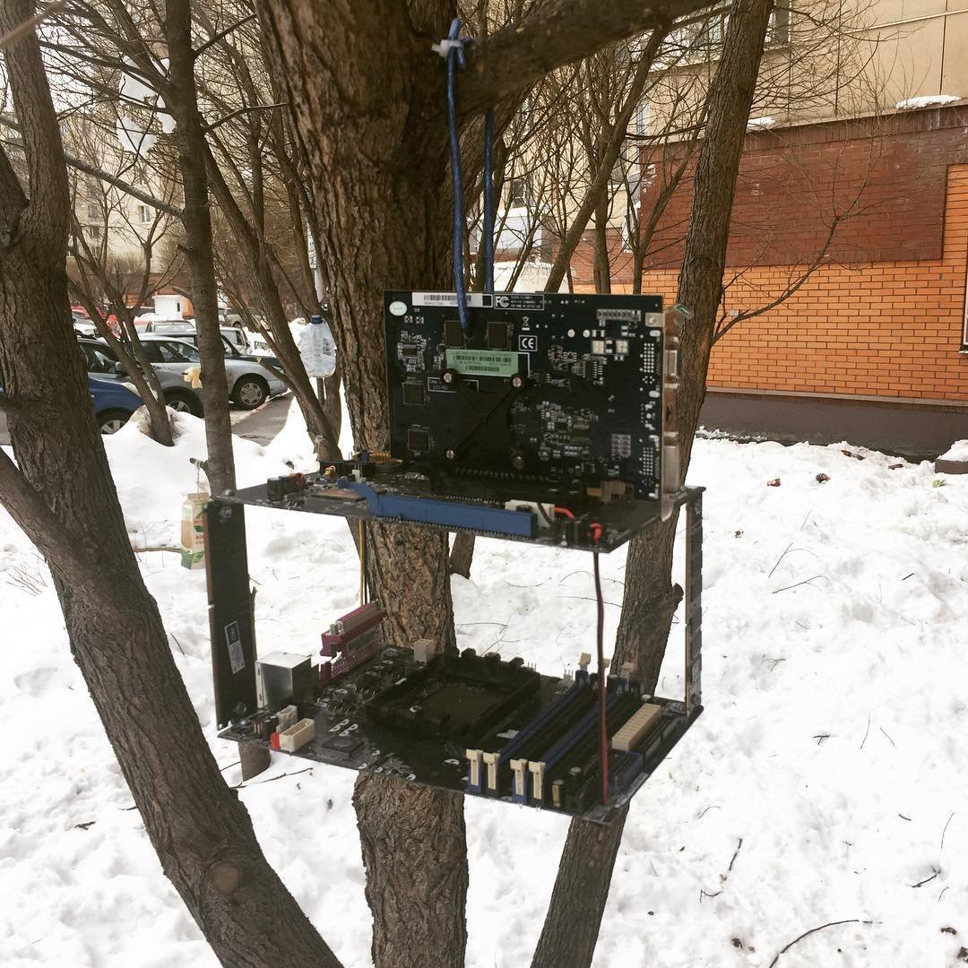 Bird feeder in Zelenograd - Trough, Zelenograd