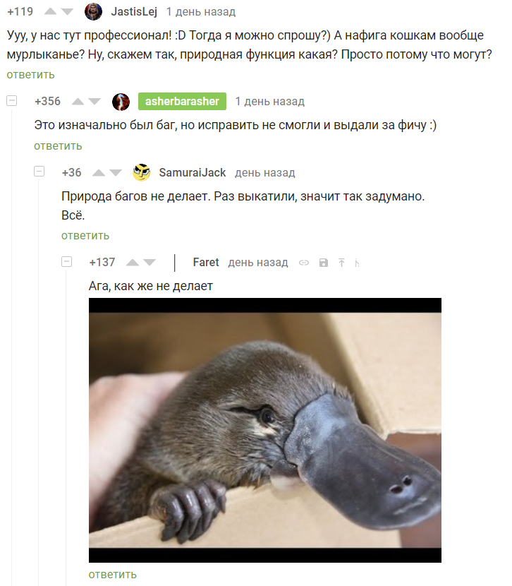 Nature's mistake - Platypus, Weather, Comments, Picture with text, Humor, Platypuses