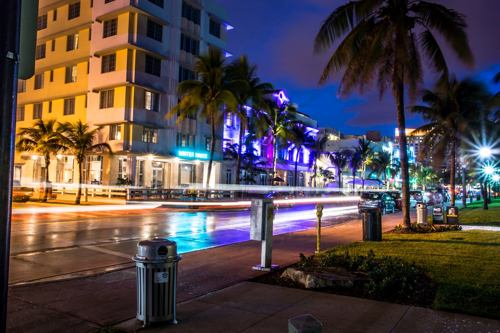 Florida at night. - Florida, The photo, Palm trees, Illuminations, beauty, Go nuts