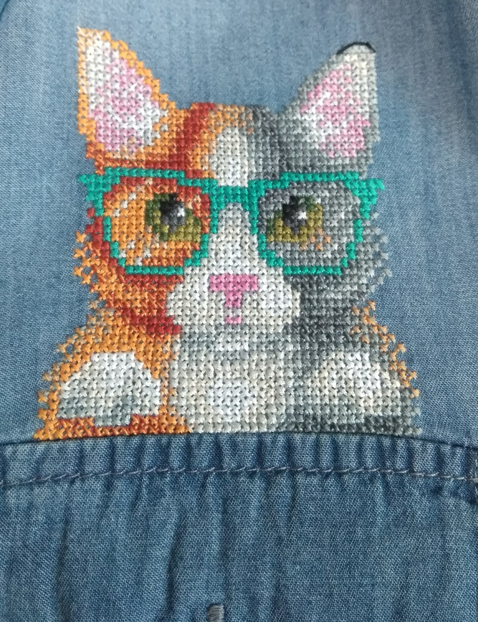 Personal hipster cat or embroidery on clothes. - My, Embroidery, Cross-stitch, Needlework with process, cat, Longpost, The photo