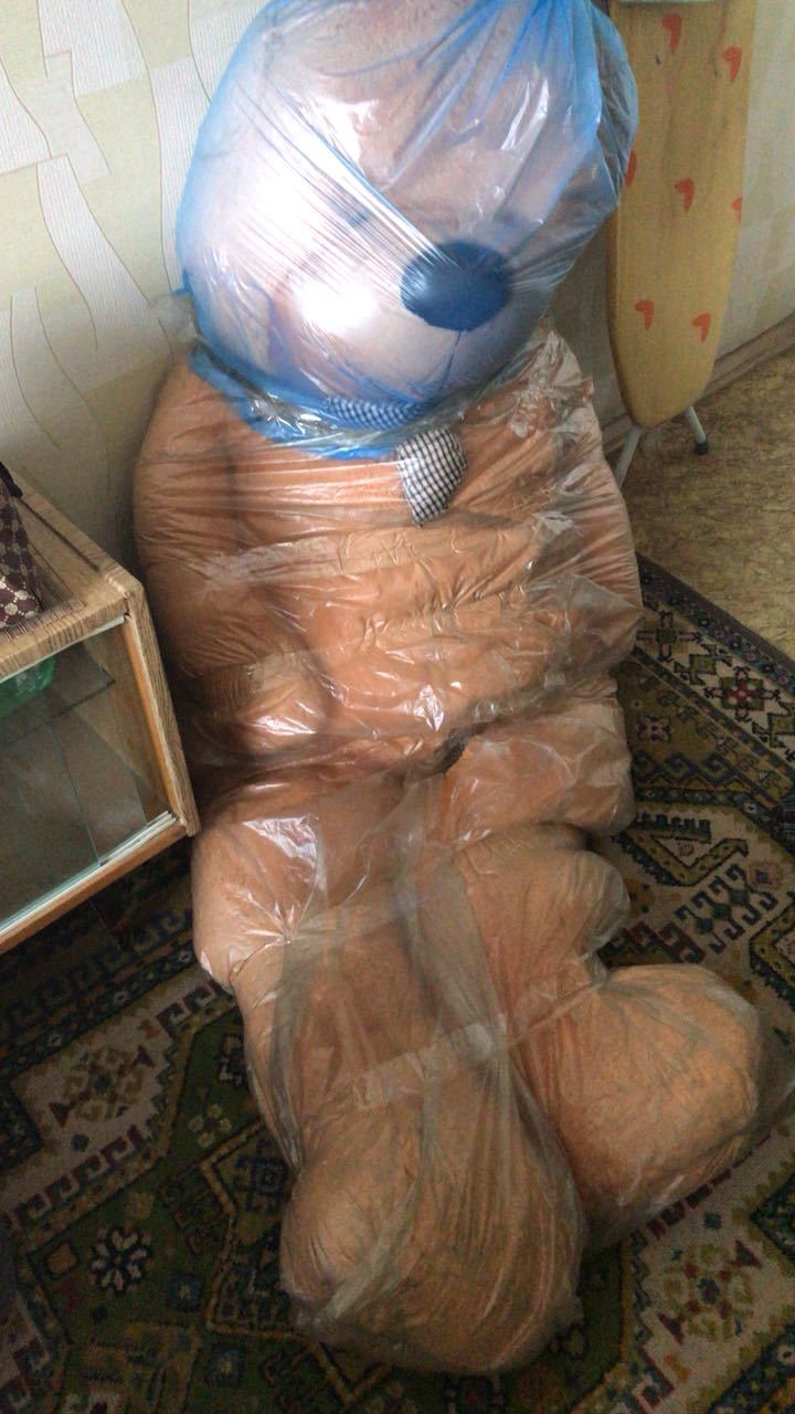 All ready to move - My, Relocation, Teddy bear