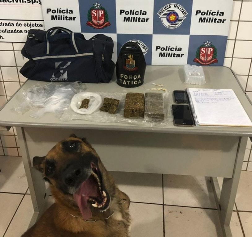 The good boy found something and is very pleased with himself! - The photo, Dog, Drugs, Customs, Fun