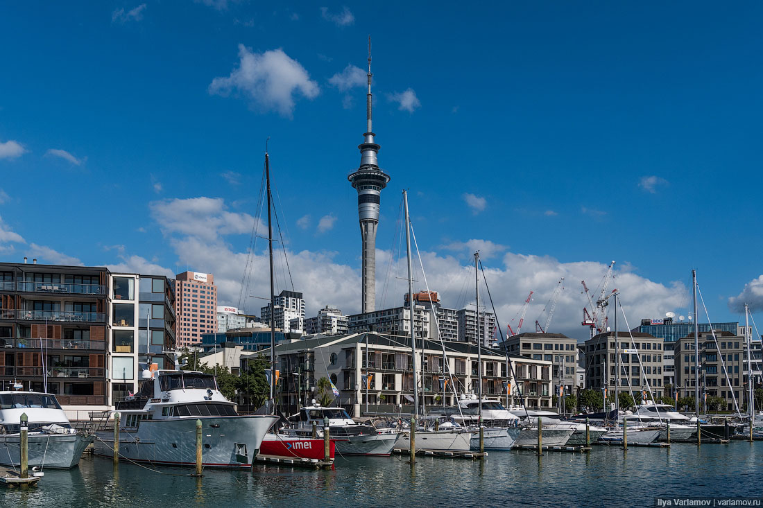 New Zealand: maybe drop everything and stay here? - My, Travels, New Zealand, Public place, Nature, Beach, Ocean, Regatta, The photo, Video, Longpost