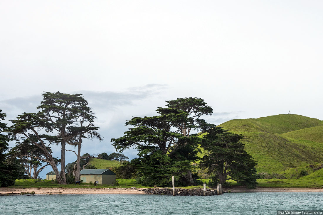 New Zealand: maybe drop everything and stay here? - My, Travels, New Zealand, Public place, Nature, Beach, Ocean, Regatta, The photo, Video, Longpost