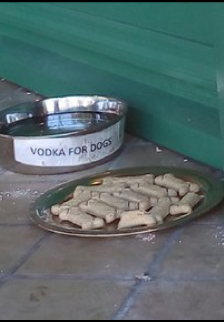 Uncle threw off) Somewhere in the USA - My, Dog, Vodka, Food, USA