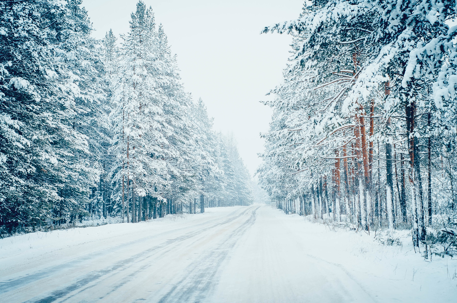 Primorskoye Highway, Gulf of Finland. - My, The Gulf of Finland, Primorskoye Shosse, Road, Snow, Winter, Volkswagen Golf II, Leningrad region, Snowfall, Longpost