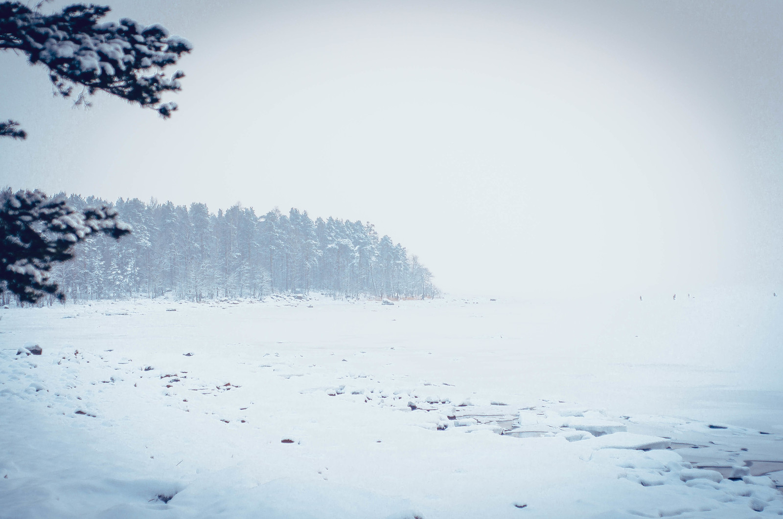 Primorskoye Highway, Gulf of Finland. - My, The Gulf of Finland, Primorskoye Shosse, Road, Snow, Winter, Volkswagen Golf II, Leningrad region, Snowfall, Longpost