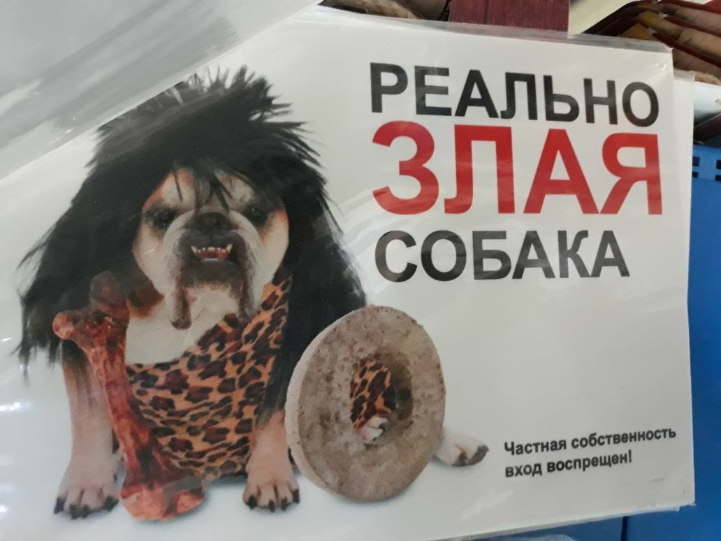 Today at the pet store - My, Табличка, Be aware of dogs