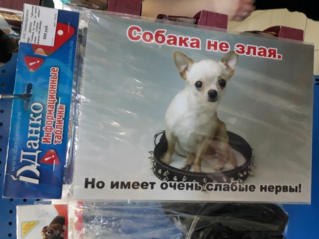 Today at the pet store - My, Табличка, Be aware of dogs