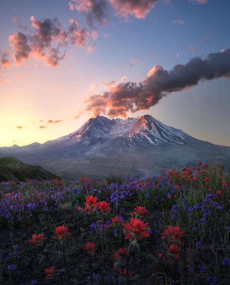 spring volcano some flowers - Spring, Volcano, 