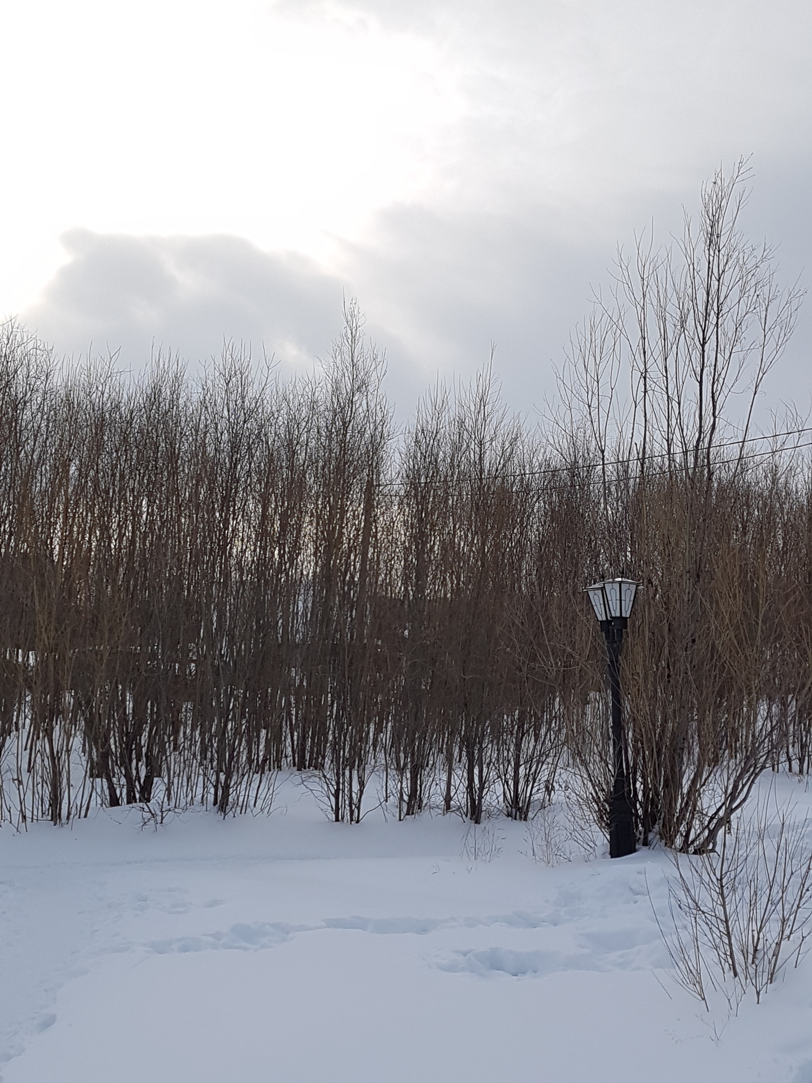 I think I found Narnia - My, Winter, Narnia, Surgut