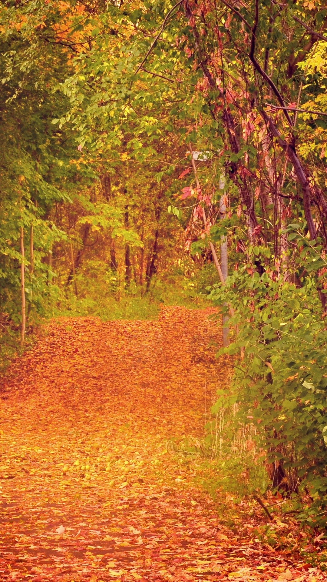 Beauty of nature (The unique charm of cities) - The photo, Nature, Longpost