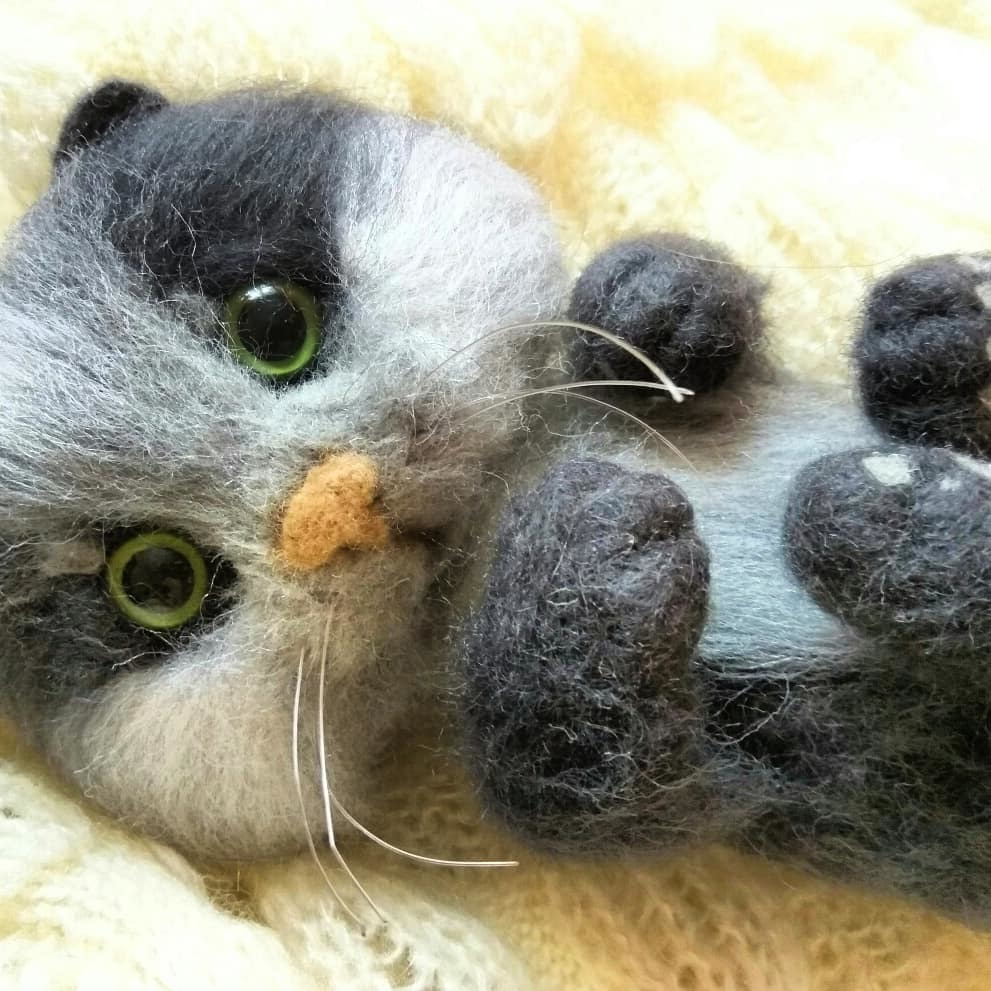 Wool cat. Dry felting. - My, Dry felting, , cat, Hobby, Needlework without process, Longpost