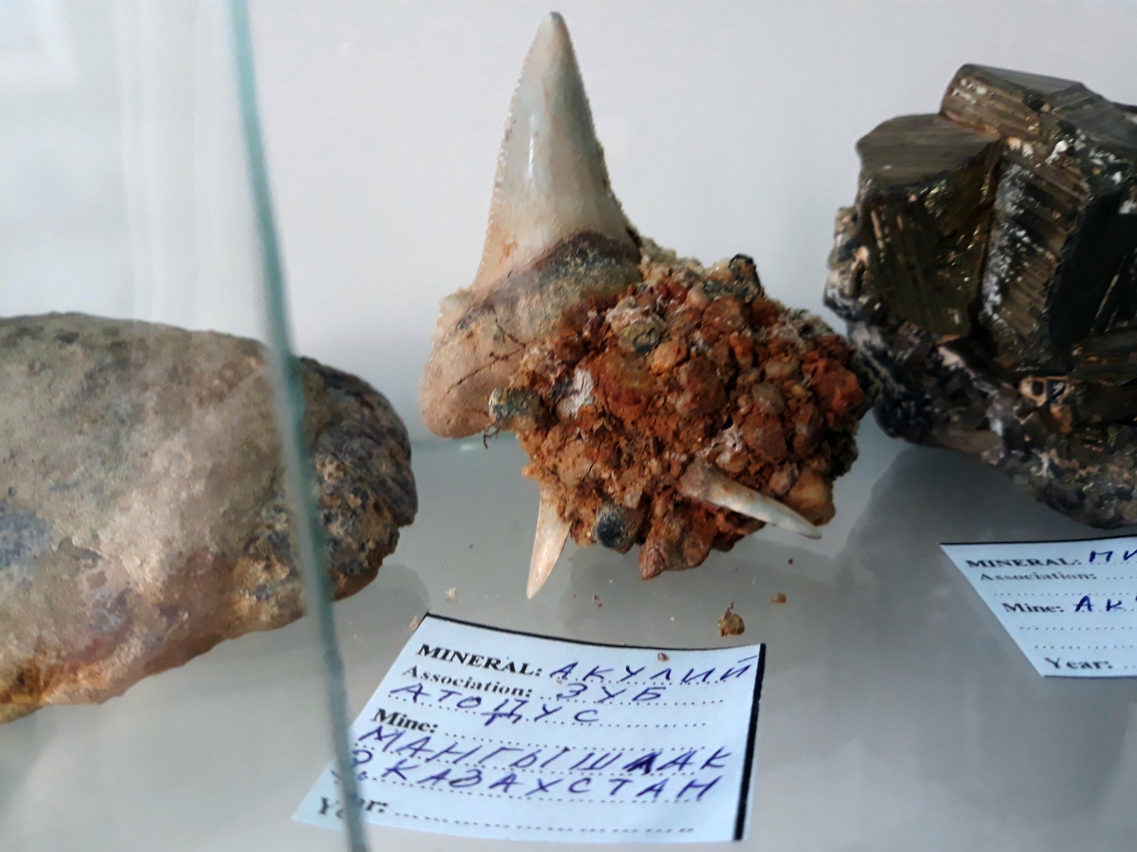 Exhibition of Minerals in Karaganda - My, where to go, Karaganda, Exhibition, Minerals, Collection, The photo, Kazakhstan, Longpost, Video