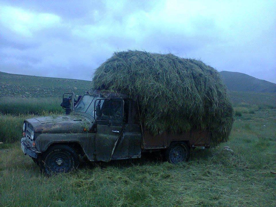 Монгольский автопром - Монголия, Автопром, Длиннопост, Авто, Фотография