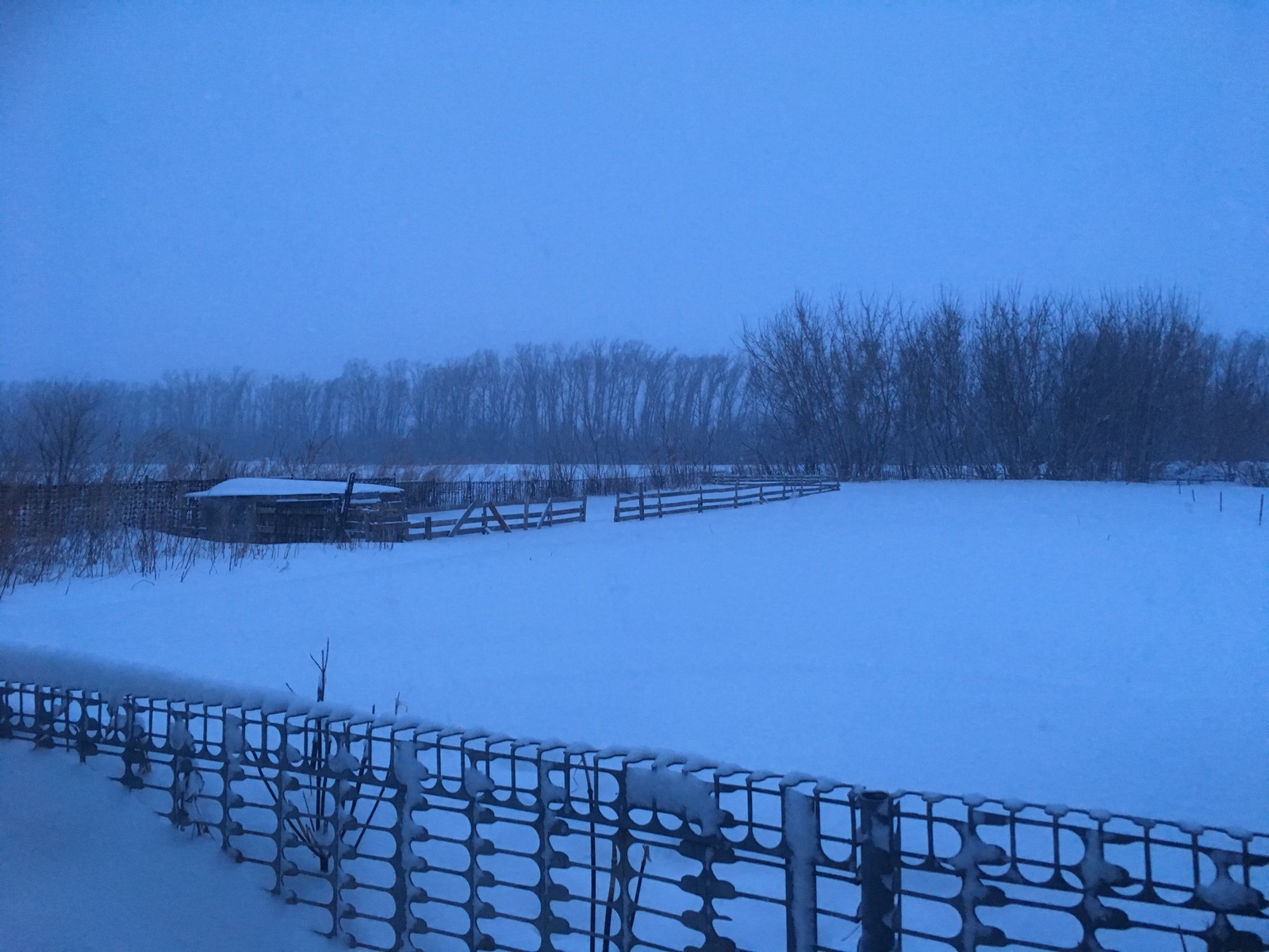 And in the Samara region it is still February (((. - My, Winter, Snow, Spring