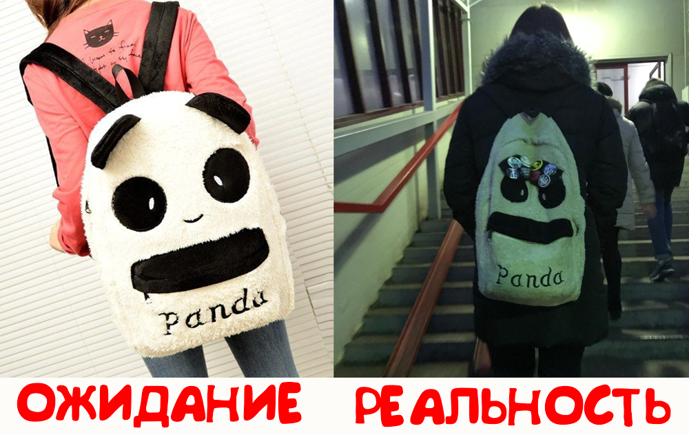 Backpack Panda - My, Panda, Backpack, Saint Petersburg, Expectation, Reality