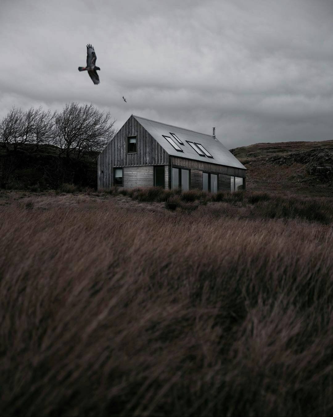 Now put your reality aside and plunge into the magic of dark Scotland. - Scotland, The mountains, Longpost, Nature, Animals, Magic, The photo