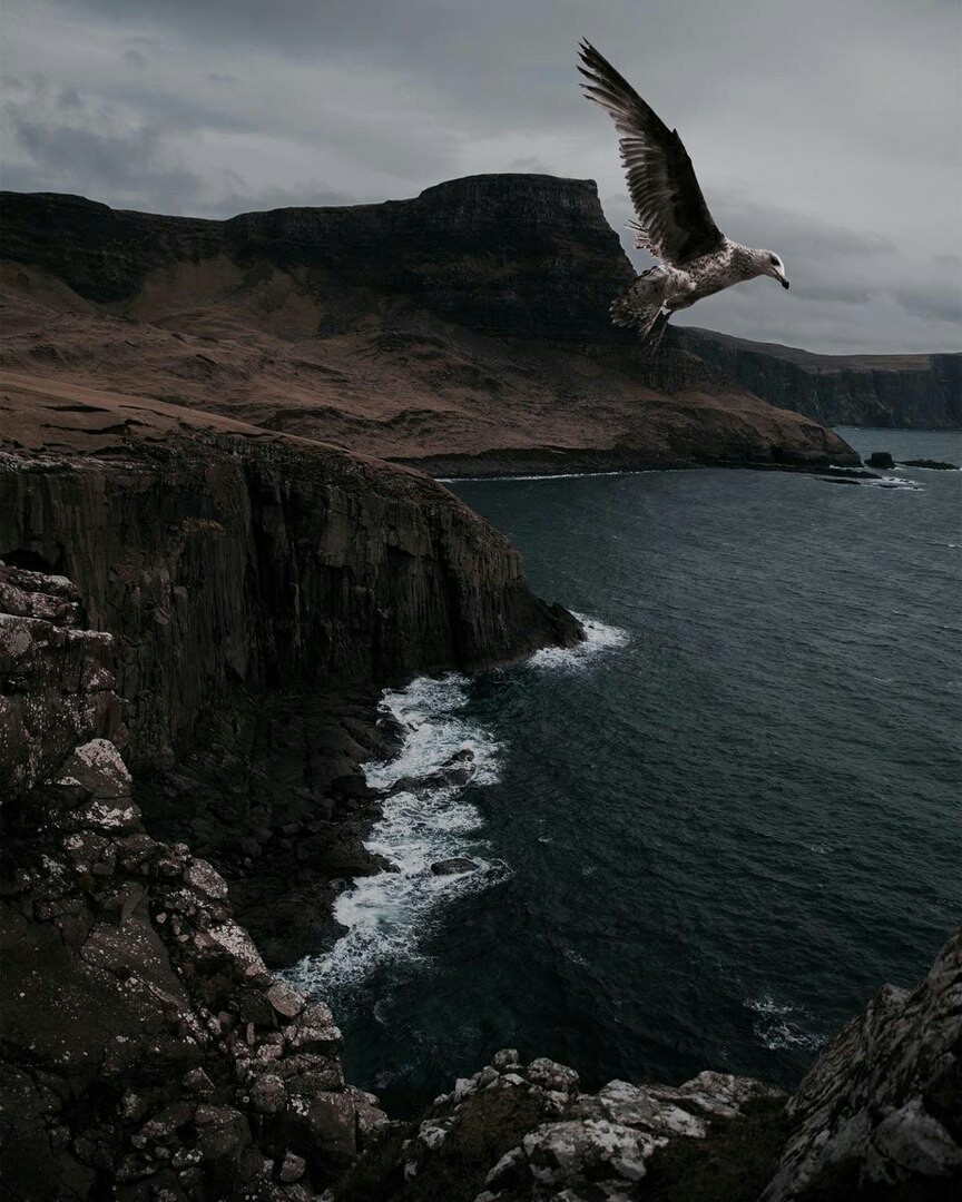 Now put your reality aside and plunge into the magic of dark Scotland. - Scotland, The mountains, Longpost, Nature, Animals, Magic, The photo