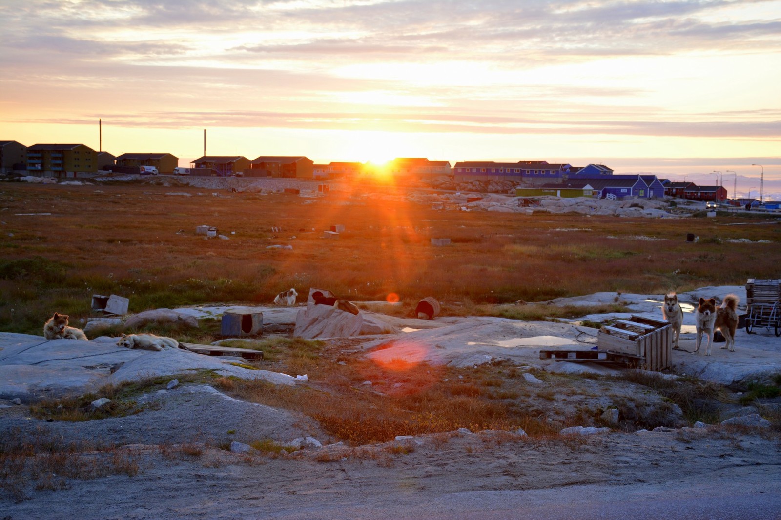 Independent trip to Greenland. Ilulissat. City and surroundings - My, Travels, Greenland, Ilulissat, The photo, Tourism, Glacier, Longpost