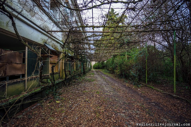 Abandoned pioneer camp in the Caucasus - life after people - Abandoned, Camp, the USSR, Atmospheric, Longpost, Pioneer camp, Caucasus, The photo