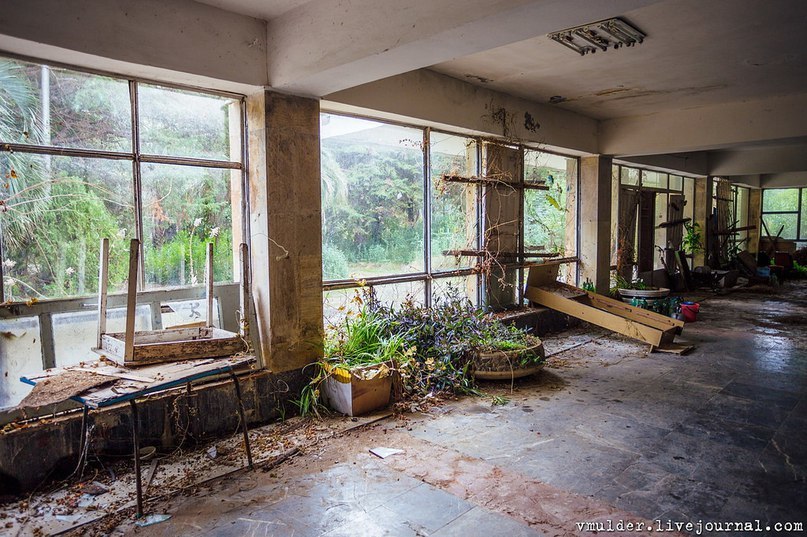 Abandoned pioneer camp in the Caucasus - life after people - Abandoned, Camp, the USSR, Atmospheric, Longpost, Pioneer camp, Caucasus, The photo