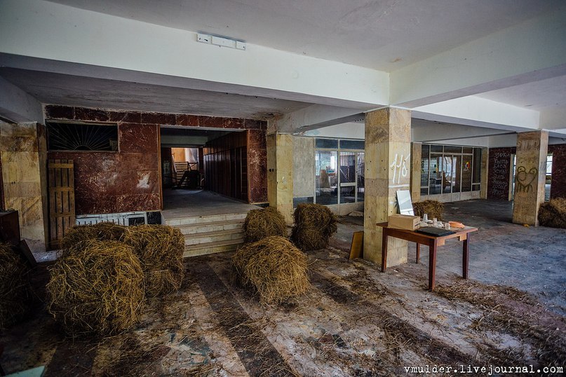 Abandoned pioneer camp in the Caucasus - life after people - Abandoned, Camp, the USSR, Atmospheric, Longpost, Pioneer camp, Caucasus, The photo