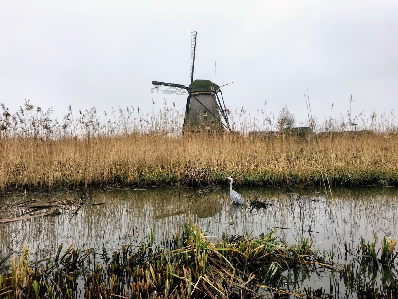 Windmills Kinderdijk - My, Netherlands, Kinderdijk, Mill, Windmill, The photo, Longpost, Netherlands (Holland)