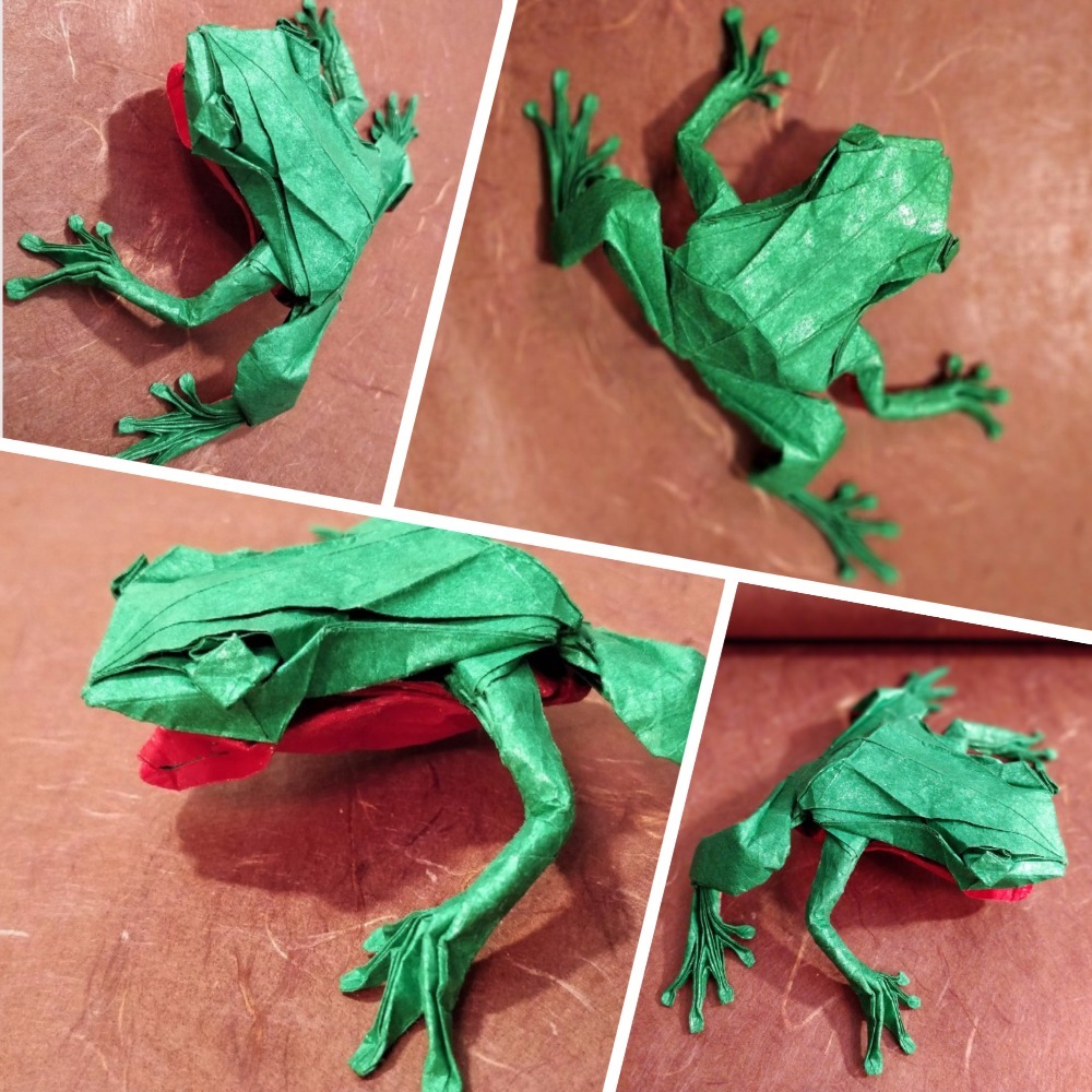 Origami Tree Frog (Satoshi Kamiya) - Моё, Оригами, Origamipro, Лягушки, Ручная работа, Satoshi Kamiya, Лига оригами, Длиннопост