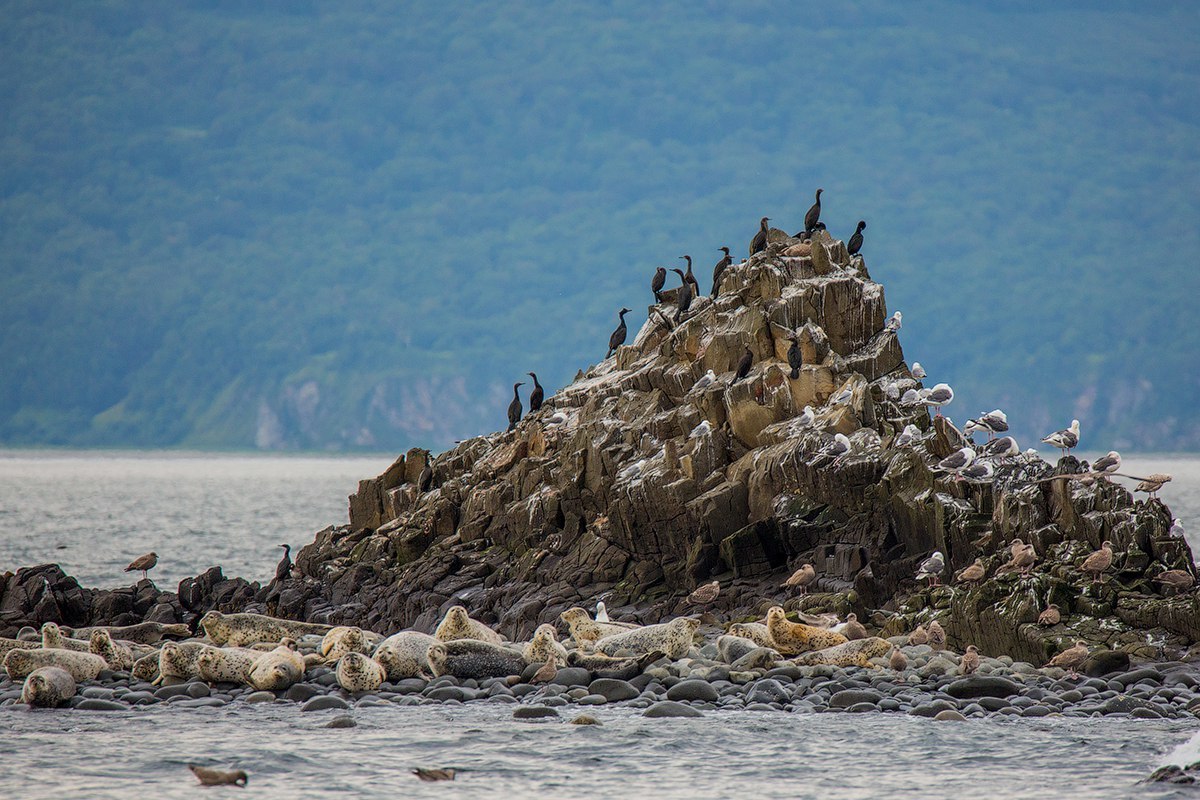 Seascapes of Kamchatka - Kamchatka, Russia, The photo, Landscape, Nature, Gotta go, Longpost