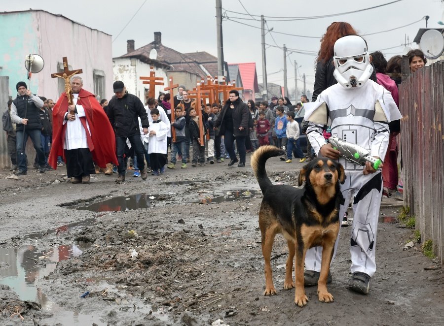 Everything is perfect in this photo. - Stormtrooper, Chewbacca, Procession, The photo, Dog, Star Wars stormtrooper