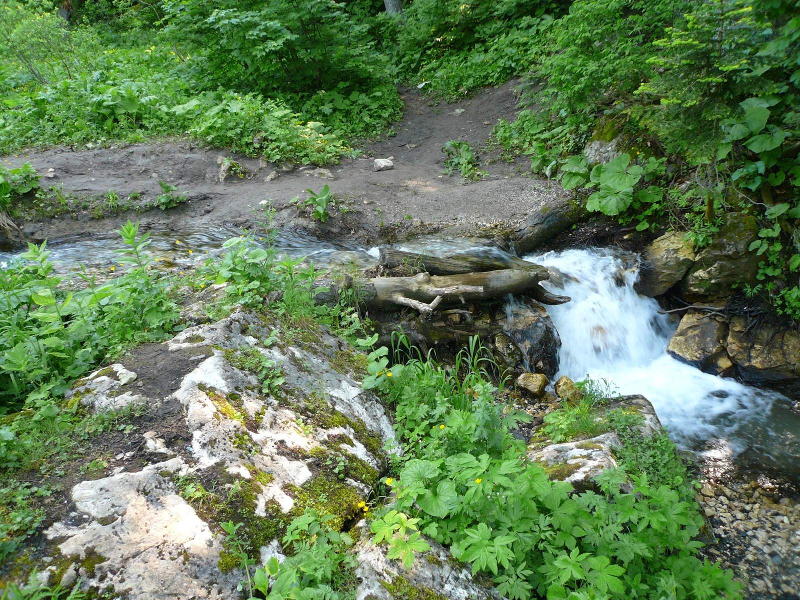 Against wool. - My, Bike ride, Mountain tourism, Longpost