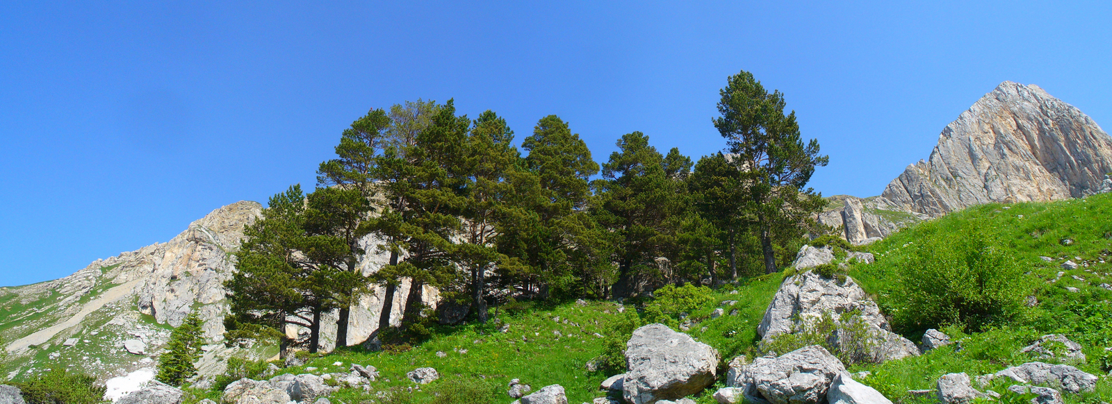 Against wool. - My, Bike ride, Mountain tourism, Longpost