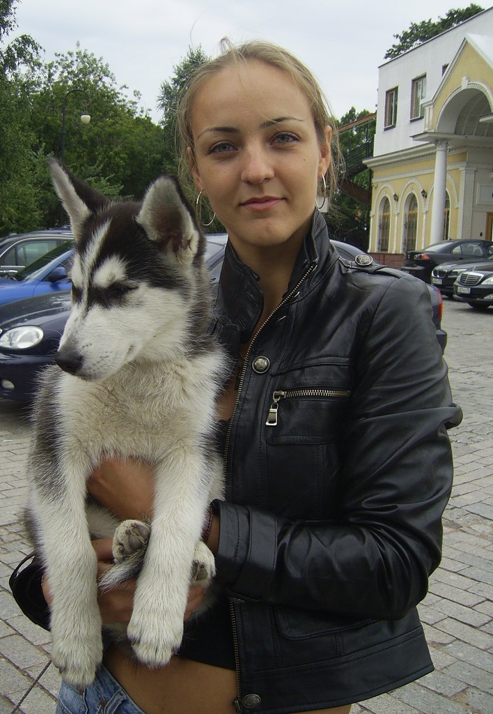 The photo of a Syrian teenager who traveled 500 km to Greece did not leave his beloved husky puppy quickly spread around the world. - Husky, People, Dog, Friend, Person, Longpost