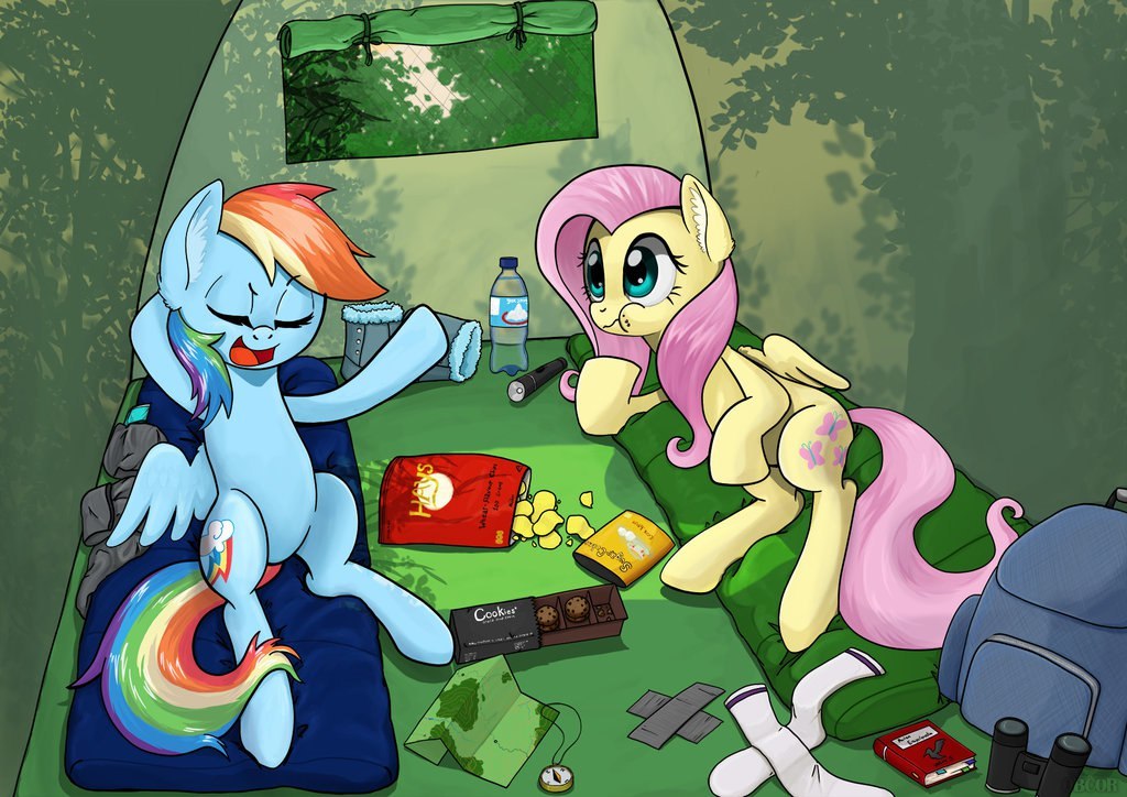 On a hike - My little pony, Rainbow dash, Fluttershy