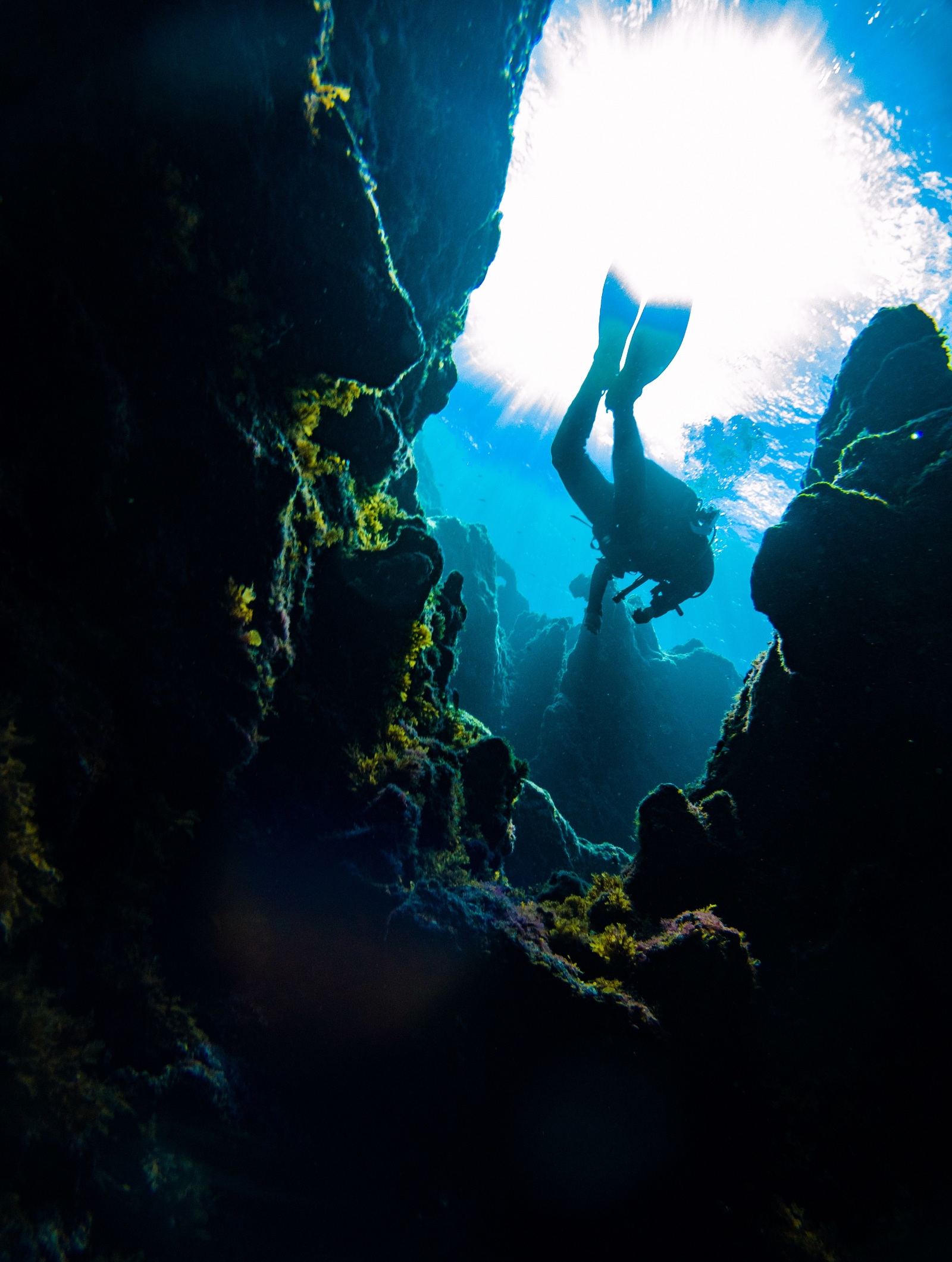 Notes of a girl diver. Malta Blue Hole - My, Diving, Underwater world, , Malta, , Longpost